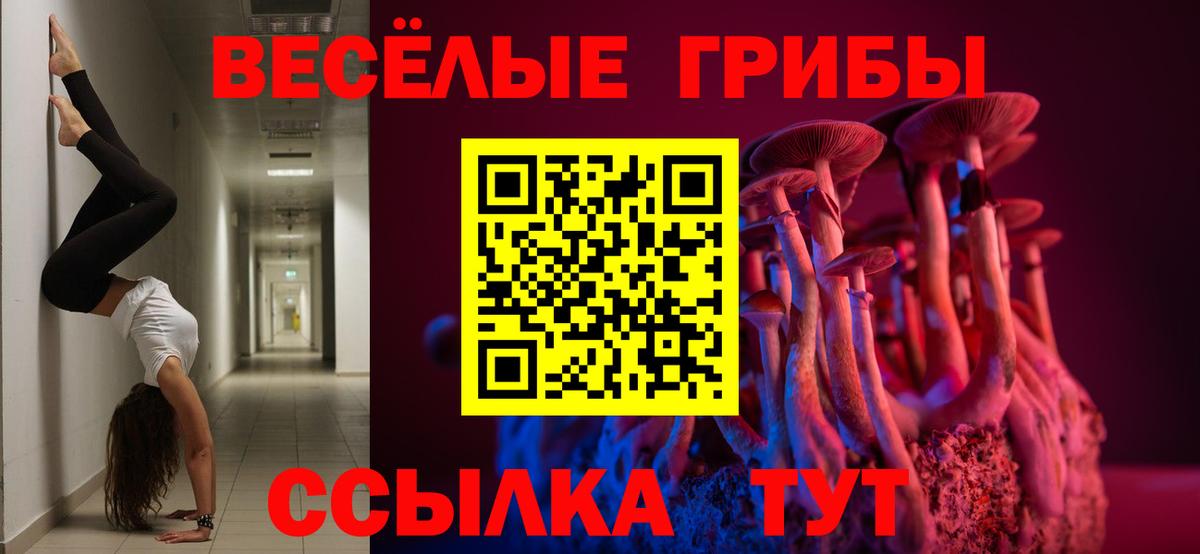 Галлюциногенные грибы MAGIC MUSHROOMS Брянск